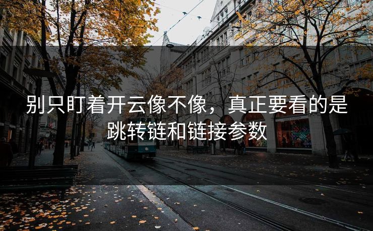 别只盯着开云像不像，真正要看的是跳转链和链接参数