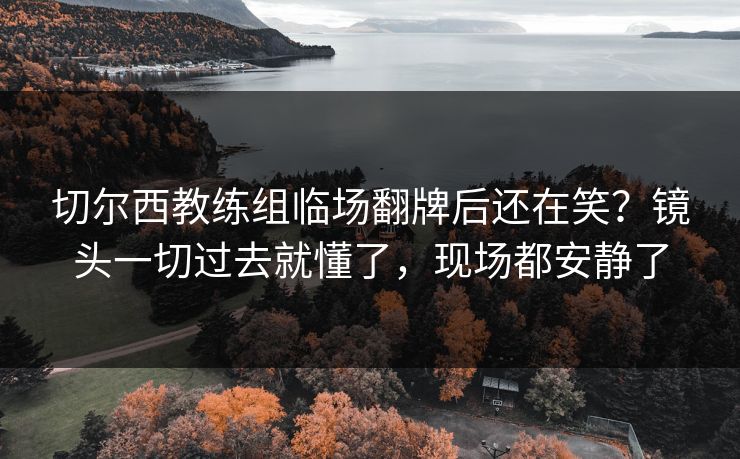 切尔西教练组临场翻牌后还在笑？镜头一切过去就懂了，现场都安静了
